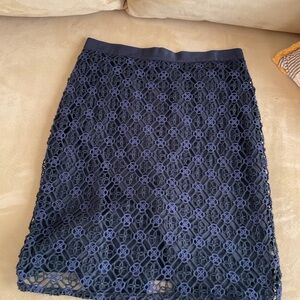 Elegant Navy Lace Skirt